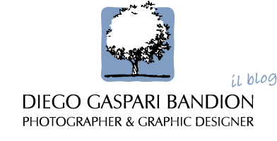 Diego Gaspari Bandion Fotografo – Photographer logo