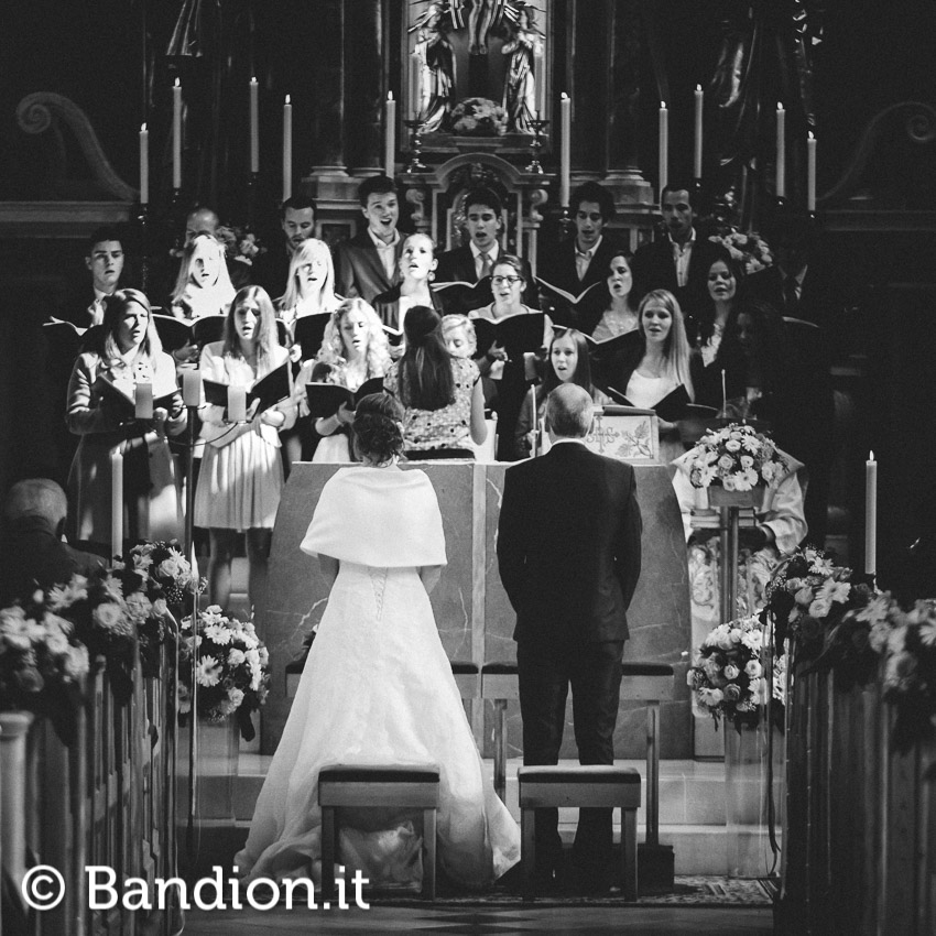 _A9R6818_Bandion